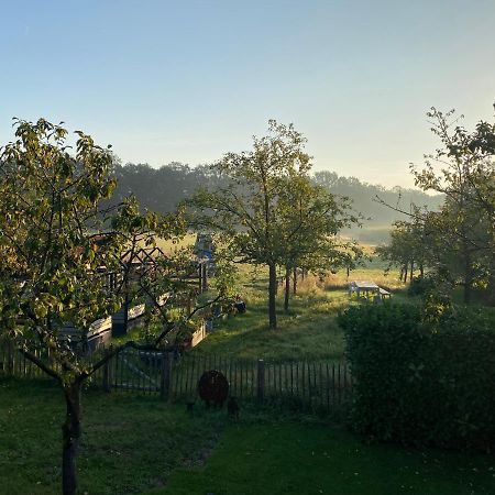 B&B Het Zwarte Schaap Albergen Dış mekan fotoğraf